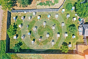 Aerial view of the bee farm, beehive, summer day