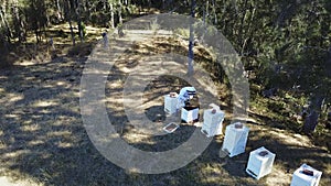 aerial view of a beekeeper tending hives at cessnock