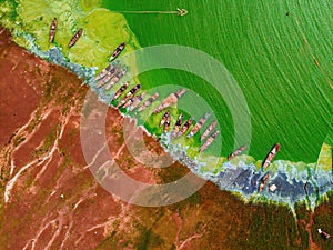 Aerial view of Ben Nom fishing village, a brilliant, fresh, green image of the green algae season on Tri An lake, with many