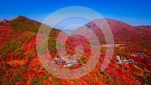 Aerial view of Beomeosa temple in Busan South korea.Image consists of temple located between the mountain covered with colorful