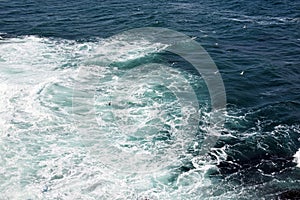 Aerial view of Black Sea waves and flying sea gulls near Burgas city , Bulgaria