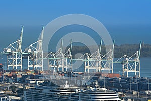 Aerial view of boats in a marina near the Port of Miami