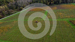 Aerial view Bordeaux vineyard in autumn, landscape vineyard