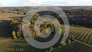 Aerial view Bordeaux vineyard in autumn, landscape vineyard