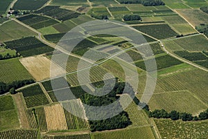 Aerial view of Bordeaux vineyard, France