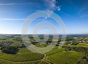 Aerial view, Bordeaux vineyard, landscape vineyard south west of france