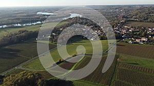 Aerial view bordeaux vineyard, landscape vineyard south west of france, europe