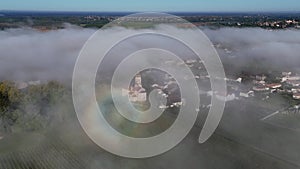 Aerial view of Bordeaux vineyard at spring under fog, Loupiac, Gironde, France