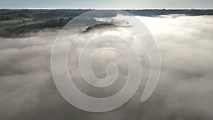 Aerial view of Bordeaux vineyard at spring under fog, Loupiac, Gironde, France