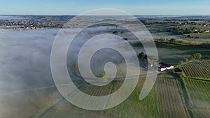 Aerial view of Bordeaux vineyard at spring under fog, Rions, Gironde, France