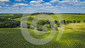 Aerial view Bordeaux Vineyard in summer, Entre deux mers