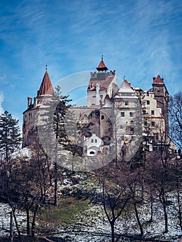 Aerial view of the Bran castle, Romania situated on a hill in the countryside surrounded by trees