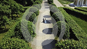 Aerial view a bride in white dress and groom in suit walking among bushes in a city park. Creative. Wedding in a
