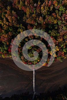 Aerial view of a bridge surrounded by a forest in fall in Bouctouche, New Brunswick, Canada