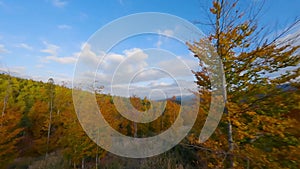 Aerial view of a bright autumn forest on the slopes of the mountains. Colorful panorama of the Carpathian mountains in