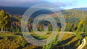 Aerial view of a bright autumn forest on the slopes of the mountains at sunrise