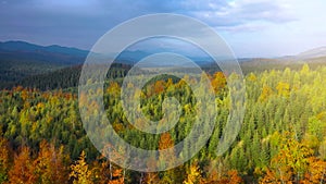 Aerial view of a bright autumn forest on the slopes of the mountains at sunrise