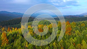 Aerial view of a bright autumn forest on the slopes of the mountains at sunrise