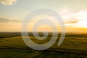 Aerial view of bright green agricultural farm field with growing rapeseed plants and cross country dirt road at sunset