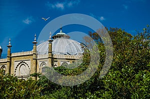 Aerial view of Brighton museum dome in Royal Pavilion Gardens