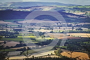 Aerial View of British Countryside Fields