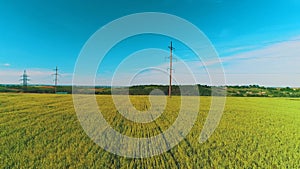 Aerial view of broad fiels with crops and electric poles in rural area. 4K.