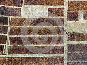 Aerial view of brown seaweed farm in Nusa Lembongan