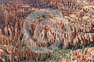 Aerialview of Bryce Canyon National Park, Utah photo