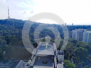 Aerial view of Bukit Batok nature park
