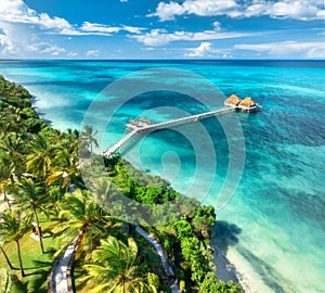 Aerial view of bungalow, white sandy beach, sea and palms photo