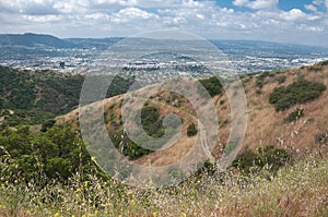 Aerial view of Burbank CA photo