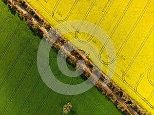 Aerial view of the canola fields in Western Australia