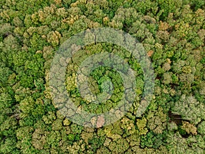 Aerial view of the canopy of Touraine photo