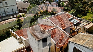 Aerial view captures primates dashing across rooftops in urban wildlife encounter. Troops of monkeys navigate human
