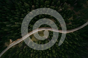 Aerial view captures road winding through forested landscape from above