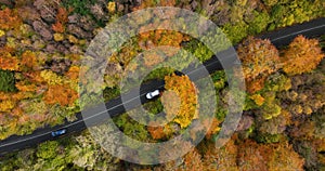 Aerial view of car on country road in sunny colorful autumn forest 4k