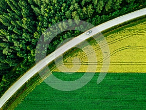 Aerial view of car driving on road along the green forest and potato with yellow rapeseed fields