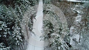 Aerial view of car moving in winter forest