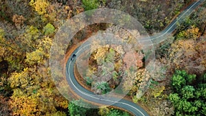 Aerial view of car passing curvy road in forest. Autumn high in mountains