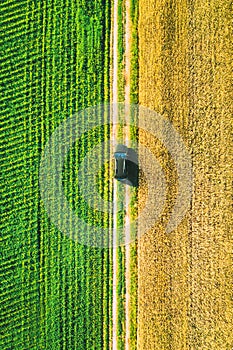 Aerial View Of Car SUV Parked Near Countryside Road In Spring Field Rural Landscape. Car Between Young Wheat And Corn
