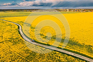 Aerial View Of Car SUV Parked Near Countryside Road In Spring Field Rural Landscape. Flowering Blooming Rapeseed