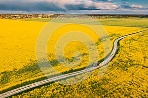 Aerial View Of Car SUV Parked Near Countryside Road In Spring Field Rural Landscape. Flowering Blooming Rapeseed