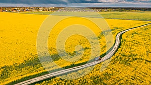 Aerial View Of Car SUV Parked Near Countryside Road In Spring Field Rural Landscape. Flowering Blooming Rapeseed