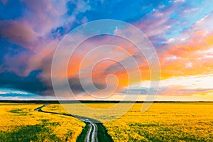 Aerial View Of Car SUV Parked Near Countryside Road In Spring Field Rural Landscape. Flowering Blooming Rapeseed