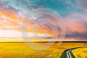 Aerial View Of Car SUV Parked Near Countryside Road In Spring Field Rural Landscape. Flowering Blooming Rapeseed