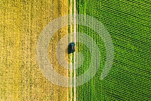 Aerial View Of Car SUV Parked Near Countryside Road In Spring Field Rural Landscape. Car Between Young Wheat And Corn