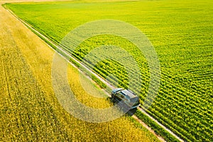 Aerial View Of Car SUV Parked Near Countryside Road In Spring Field Rural Landscape. Car Between Young Wheat And Corn