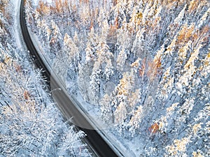 Aerial view of a car on winter road in the forest. Winter landscape countryside. Aerial photography of snowy forest with a car on