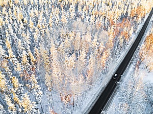 Aerial view of a car on winter road in the forest. Winter landscape countryside. Aerial photography of snowy forest with a car on