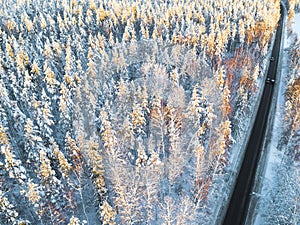 Aerial view of a car on winter road in the forest. Winter landscape countryside. Aerial photography of snowy forest with a car on